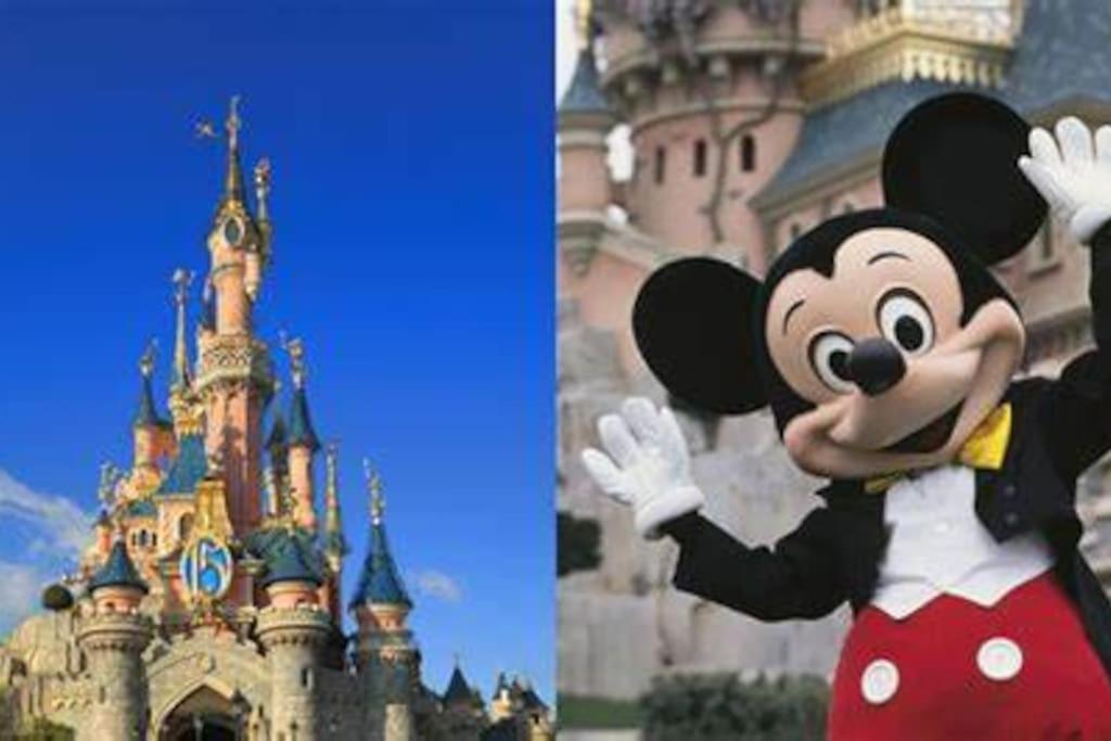 Cosy &jolie Maison A Cote De Disneyland Paris * Montry